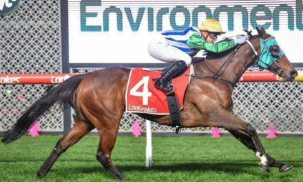 Mouse Almighty Defies Odds for Almighty Win